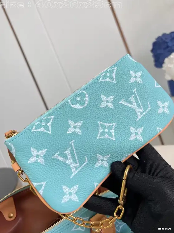 SPEEDY Vuitton 40 Louis 0313